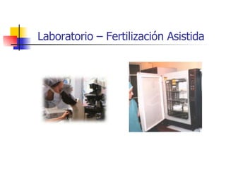 Laboratorio – Fertilización Asistida 