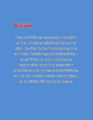 E vision