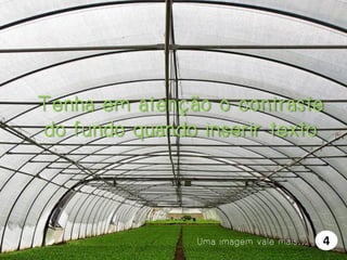 Tenha em atenção o contraste
do fundo quando inserir texto

Uma imagem vale mais…

4

 