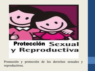 Protección


Promoción y protección de los derechos sexuales y
reproductivos.
 