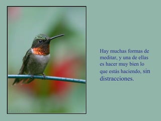Hay muchas formas de 
meditar, y una de ellas 
es hacer muy bien lo 
que estás haciendo, sin 
distracciones. 
 