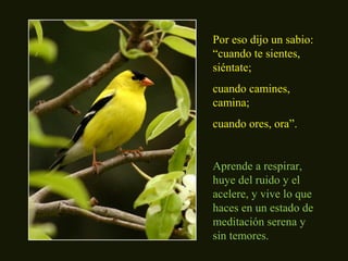 Por eso dijo un sabio: 
“cuando te sientes, 
siéntate; 
cuando camines, 
camina; 
cuando ores, ora”. 
Aprende a respirar, 
huye del ruido y el 
acelere, y vive lo que 
haces en un estado de 
meditación serena y 
sin temores. 
 
