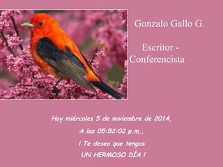 Gonzalo Gallo G. 
Escritor - 
Conferencista 
Hoy miércoles 5 de noviembre de 2014, 
A las 05:52:02 p.m., 
¡ Te deseo que tengas 
UN HERMOSO DÍA ! 
