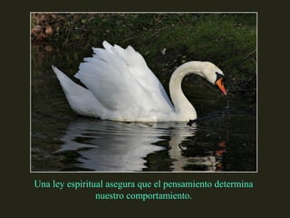 Una ley espiritual asegura que el pensamiento determina 
nuestro comportamiento. 
 