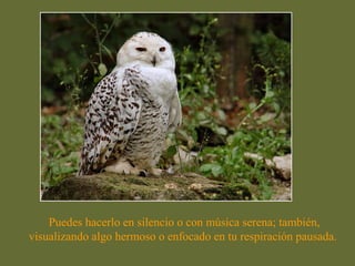 Puedes hacerlo en silencio o con música serena; también,
visualizando algo hermoso o enfocado en tu respiración pausada.
 