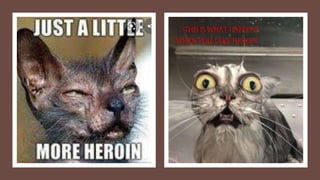 THIS IS WHAT HAPPENS
WHEN YOU TAKE HEROIN
 