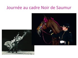 Journée au cadre Noir de Saumur