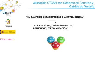 Alineación CTCAN con Gobierno de Canarias y  
                                      Cabildo de Tenerife


        “EL CAMPO DE SETAS DIRIGIENDO LA INTELIGENCIA”

     
             “COOPERACIÓN, COMPARTICIÓN DE 
             ESFUERZOS, ESPECIALIZACIÓN”




                         
 