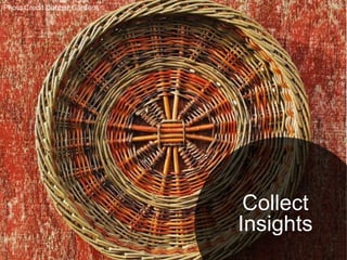 Photo Credit Dunbar Gardens :




                                 Collect
                                Insights
 