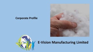 E-Vision Manufacturing Limited
Corporate Profile
 