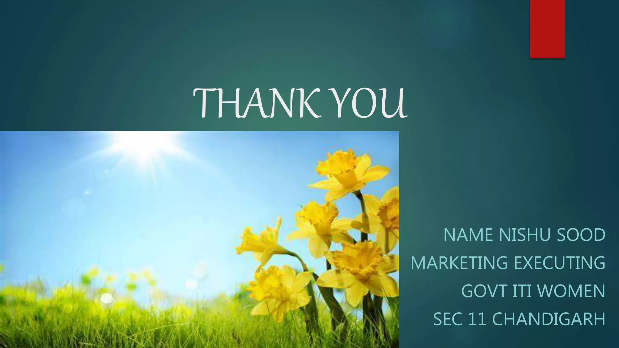 THANK YOU
NAME NISHU SOOD
MARKETING EXECUTING
GOVT ITI WOMEN
SEC 11 CHANDIGARH
 
