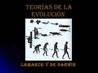 Teorias Evolucion Larmarck Y Darwin Ppt
