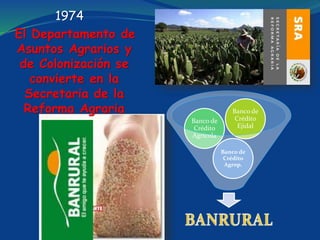 1974
El Departamento de
Asuntos Agrarios y
de Colonización se
convierte en la
Secretaria de la
Reforma Agraria
Banco de
Crédito
Agrop.
Banco de
Crédito
Agrícola
Banco de
Crédito
Ejidal
 