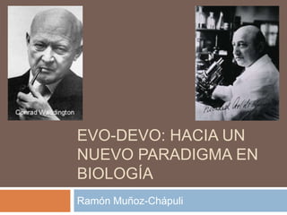 EVO-DEVO: HACIA UN
NUEVO PARADIGMA EN
BIOLOGÍA
Ramón Muñoz-Chápuli
 