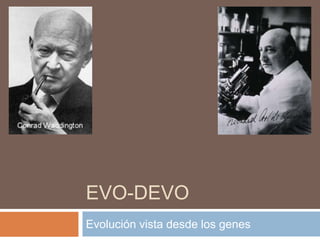 EVO-DEVO
Evolución vista desde los genes
 