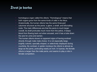 Život je borba homologous organ called the clitoris. "Homologous" means that both organs grow from the same kinds of cells in the fetus. Anatomically, the human clitoris has the same three-part columnar structure as the penis: a glans, a shaft, and bifurcating roots. The main differences are that the penis is much larger overall, its shaft protrudes much more from the pelvis, it keeps blood from flowing back out when aroused, and it has a tube down the axis for urine and semen. The human clitoris shows no apparent signs of having evolved directly through male mate choice. It is not especially large, brightly colored, specially shaped, or selectively displayed during courtship. By contrast, in spider monkeys the clitoris is almost as large as the penis, protruding nearly an inch. In hyenas, the female clitoris is larger than the male penis, and seems to play a role in female competition. 