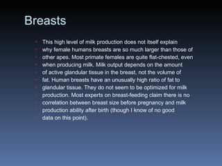 Breasts This high level of milk production does not itself explain why female humans breasts are so much larger than those of other apes. Most primate females are quite flat-chested, even when producing milk. Milk output depends on the amount of active glandular tissue in the breast, not the volume of fat. Human breasts have an unusually high ratio of fat to glandular tissue. They do not seem to be optimized for milk production. Most experts on breast-feeding claim there is no correlation between breast size before pregnancy and milk production ability after birth (though I know of no good data on this point). 