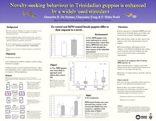 Novelty-seeking behaviour in Trinidadian guppies is enhancedNovelty-seeking behaviour in Trinidadian guppies is enhanced
by a widely used stimulantby a widely used stimulant
Novelty-seeking behaviour in Trinidadian guppies is enhancedNovelty-seeking behaviour in Trinidadian guppies is enhanced
by a widely used stimulantby a widely used stimulant
Environment?
Object?
Male?
Discussion
◘ Acute exposure to a stimulant (MPH) increased
interest in novel stimuli, both a novel object and
environment, in female Trinidadian guppies.
◘ As with previous studies on other species, this
suggests a role of the dopaminergic system in
guppies.
◘ Novelty-seeking in wild guppies may be
adaptive, as food-limited individuals that explore
novel food types and novel habitats may gain
access to increased resources and mating
opportunities.
◘ Behavioural phenotypes in guppies: both novelty-
seeking and side effects associated with stimulant use in
humans, e.g. stereotypies and aggression
◘ Inheritance of synaptic plasticity: specifically, epigenetic
mechanisms
◘ To survey the genes responsible for DA expression in
guppies8
, at the individual and population levels.
◘ If these alleles can be linked to behavioural
phenotypes, this could explain some of the standing
behavioural variation in natural populations of
Trinidadian guppies for behaviours such as:
◦ Exploratory behaviour in novel environments4
◦ Responses to novel objects9
Background
◘ Novelty seeking, the willingness to investigate novel stimuli, can have
important consequences in natural populations, e.g. affecting
survivorship, gene flow.
◘ Female Trinidadian guppies, Poecilia reticulata, show a preference
for rare/unfamiliar males1,2,3
and show among-population differences in
exploratory behaviour of unfamiliar environments4
.
◘ Novelty seeking in rodents is associated with the neurotransmitter
dopamine (DA): ↑ DA levels associated with ↑ novelty-seeking5
◘ However, it is not clear if an orthologous pathway is responsible in
teleosts.
Figure 1. Schematic of the novelty test
protocol (right). Purple colouration
indicates the novel stimulus in each test.
We observed all experimental fish in
tests 1 & 2 (novel environment and
object, respectively), while only a subset
were observed in test 3 (novel male).
Objectives
To determine whether:
1) the dopaminergic pathway regulates novelty-seeking
behaviour in guppies
2) different types of novel stimuli (environment, object,
and individuals) evoke a similar behavioural phenotype
in response to DA manipulation
Methods
◘ Sets of two females, randomly
assigned to either an MPH
(MPH+conditioned water) or
control (conditioned water)
treatment, were tested in a series
of novelty tests (see Figure 1).
◘ Trials were conducted at the
same time each morning by an
observer who was blind to the
treatment status of each fish.
◘ Meningeal darkness was
recorded before and after each
test as an indicator of stress
level7
Alexandra R. De Serrano, Charmaine Fong, & F. Helen Rodd
Dept. Of Ecology and Evolutionary Biology, University of Toronto
A: Yes, MPH guppies were
more exploratory in a novel
environment than control fish;
that is, MPH fish were more
likely to swim through the
inner squares of the unfamiliar
environment
A: Yes, MPH guppies
were more likely to
approach novel
objects than control
fish
Figure 2. Transformed relative proportion of inner to outer
squares traversed by female guppies (n=26) in the open field
test. The data were transformed using arcsin square root and
meningeal darkness was included as a covariate in the ANOVA
(F4,42
= 3.14, one-tailed P = 0.03).
Figure 3. Five-number summary for the
number of approaches made by MPH
(n=21) and control (n=21) guppies to
black and orange disks (novel objects).
Data were analyzed using a sign test (one-
tailed sign test: black disk, P = 0.03; orange
disk, P = 0.03.)
A: It's complicated...
MPH-treated females were more
interested than controls in the
second male (Male2) they were
exposed to, regardless of the
novelty status of Male2.
Figure 4. Mean duration spent by MPH (n=7) and control females
(n=7) within 2.5cm of the male in the novel male test (two-way
ANOVA: F1,13
= 5.42, P = 0.04). There was not a significant effect of
morph of Male1 on the response to Male2 (ANOVA: P > 0.2 )or
treatment on their responses to Male1 (ANOVA: P > 0.7).
◘ We exposed female guppies to a very low, acute dose (2.5*10-8 g/ml) of
methylphenidate hydrochloride (MPH (Ritalin®)), a stimulant known to increase DA
levels6
Do control and MPH-treated female guppies differ in
their response to a novel...
References
1. Hughes KA, Du L, Rodd FH, Reznick D, 1999, Anim. Behav., 58, 907-916; 2. Eakley AL, Houde AE,
2004, Proc. R. Soc. Lond. B, 271; 3. Zajitschek SRK, Brooks RC, 2008, Am. Nat., 172, 843-854; 4. Burns JG,
Rodd FH, Price AC, Thomson JD, ms in prep; 5. Mällo T, Alttoa A, Kõiv K, Tõnissaar M, Eller M, Harro J.
2006. Behavioural Brain Research, 177, 269-281; 6.Solanto MV, 2002, Behavioural Brain Research, 130, 65-
71; 7. Gibson R, Burns JG, Rodd FH, 2009, Can. J. Zool. 87, 529-536; 8. Fraser BA, Weadick CJ, Janowitz I,
Rodd FH, Hughes KA. 2011. BMC Genomics. 12, 202; 9. Rodd FH, Hughes KA, Grether GF, Baril CT.
2002. Proc. R. Soc. Lond. B 269, 475-481.
Future research:
Currently we are testing the effect of chronic
MPH exposure on:
 