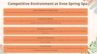 Evoe Spring Spa A positioning Dilemma..pptx