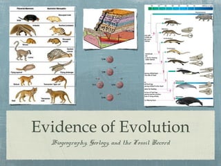Evidence of Evolution
Biogeography, Geology, and the Fossil Record
 