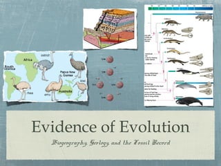 Evidence of Evolution
Biogeography, Geology, and the Fossil Record
 