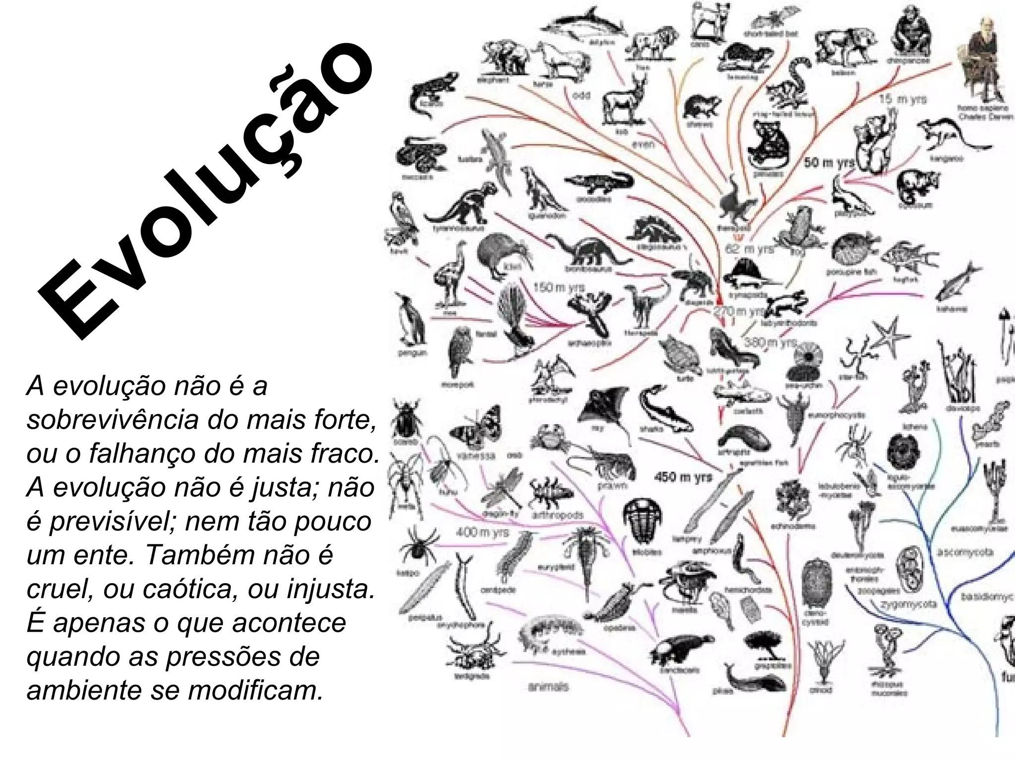 Evolução  A evolução não é a sobrevivência do mais forte, ou o falhanço do mais fraco. A evolução não é justa; não é previsível; nem tão pouco um ente. Também não é cruel, ou caótica, ou injusta. É apenas o que acontece quando as pressões de ambiente se modificam. 