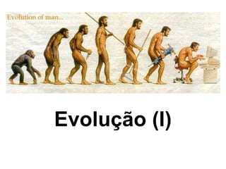 Evolução (I) 