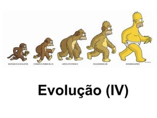 Evolução (IV) 