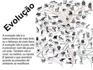 Evolução  A evolução não é a sobrevivência do mais forte, ou o falhanço do mais fraco. A evolução não é justa; não é previsível; nem tão pouco um ente. Também não é cruel, ou caótica, ou injusta. É apenas o que acontece quando as pressões de ambiente se modificam. 