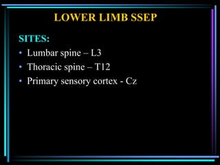 LOWER LIMB SSEP
SITES:
• Lumbar spine – L3
• Thoracic spine – T12
• Primary sensory cortex - Cz
 
