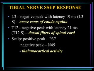 TIBIAL NERVE SSEP RESPONSE
• L3 – negative peak with latency 19 ms (L3
  S) – nerve roots of cauda equina
• T12 - negative peak with latency 21 ms
  (T12 S) – dorsal fibers of spinal cord
• Scalp: positive peak – P37
        negative peak – N45
       - thalamocortical activity
 