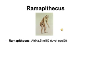 Ramapithecus Ramapithecus  Afrika,5 millió évvel ezelőtt 