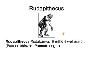 Rudapithecus Rudapithecus  Rudabánya,10 millió évvel ezelőtt (Pannon időszak, Pannon-tenger) 