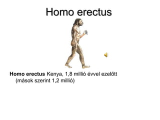 Homo erectus Homo erectus   Kenya, 1,8 millió évvel ezelőtt  (mások szerint 1,2 millió) 
