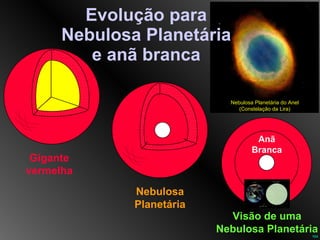 Evolução para Nebulosa Planetária e anã branca Gigante vermelha Nebulosa Planetária do Anel (Constelação da Lira) Visão de uma Nebulosa Planetária Anã Branca Nebulosa Planetária 