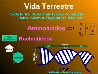 Vida Terrestre Toda forma de vida na Terra é composta  pelos mesmos “tijolinhos” básicos: Aminoácidos R C H NH 2 C O OH Carboxila Amina Radical genérico Base nitrogenada Açúcar Fosfato Nucleotídeos DNA Molécula da hereditariedade Diâmetro 20 A Passo 34 A 