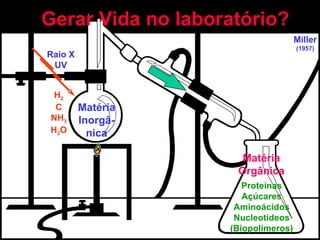 Gerar Vida no laboratório? Matéria Inorgâ- nica H 2 C NH 3 H 2 O Raio X UV Miller (1957) Matéria Orgânica Proteínas Açúcares Aminoácidos Nucleotídeos (Biopolímeros) 