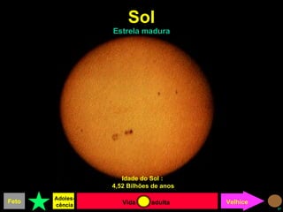 Sol Estrela madura Proto- estrela Idade do Sol :  4,52 Bilhões de anos Feto Adoles-cência Velhice Vida  adulta 