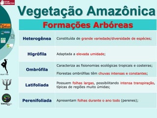Vegetação Amazônica
Formações Arbóreas
Heterogênea Constituída de grande variedade/diversidade de espécies;
Higrófila Adaptada a elevada umidade;
Ombrófila
Caracteriza as fisionomias ecológicas tropicais e costeiras;
Florestas ombrófilas têm chuvas intensas e constantes;
Latifoliada
Possuem folhas largas, possibilitando intensa transpiração,
típicas de regiões muito úmidas;
Perenifoliada Apresentam folhas durante o ano todo (perenes);
 