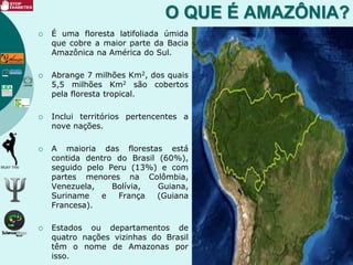 O QUE É AMAZÔNIA?
 É uma floresta latifoliada úmida
que cobre a maior parte da Bacia
Amazônica na América do Sul.
 Abrange 7 milhões Km2, dos quais
5,5 milhões Km2 são cobertos
pela floresta tropical.
 Inclui territórios pertencentes a
nove nações.
 A maioria das florestas está
contida dentro do Brasil (60%),
seguido pelo Peru (13%) e com
partes menores na Colômbia,
Venezuela, Bolívia, Guiana,
Suriname e França (Guiana
Francesa).
 Estados ou departamentos de
quatro nações vizinhas do Brasil
têm o nome de Amazonas por
isso.
 