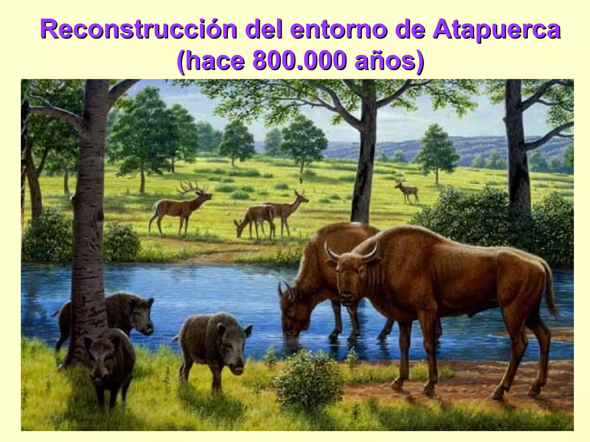 Reconstrucción del entorno de AtapuercaReconstrucción del entorno de Atapuerca
(hace 800.000 años)(hace 800.000 años)
 
