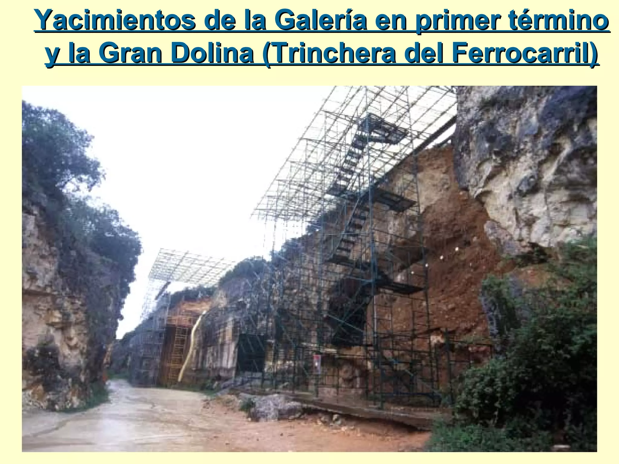 Yacimientos de la Galería en primer términoYacimientos de la Galería en primer término
y la Gran Dolina (Trinchera del Ferrocarril)y la Gran Dolina (Trinchera del Ferrocarril)
 