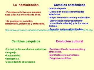 La hominización
• Proceso evolutivo que empezó
hace unos 6,5 millones de años.
• Se produjeron cambios
anatómicos, psíquicos y culturales.
http://www.consumer.es/web/es/salud/investigacion_medica/2008/03/17/175478.php
Cambios anatómicos
•Marcha bípeda.
•Liberación de las extremidades
anteriores.
•Mayor volumen craneal y encefálico.
•Disminución del prognatismo
( mandíbula saliente) y de los arcos
ciliares.
•Cambios en las extremidades.
Cambios psíquicos
•Control de las conductas instintivas.
•Lenguaje.
•Racionalidad.
•Inteligencia.
•Capacidad de abstracción.
Evolución cultural
•Construcción de herramientas y
otros útiles.
•Manifestaciones artísticas.
•Progreso científico.
 