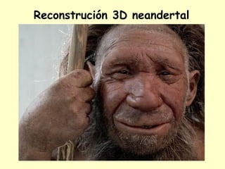 Reconstrución 3D neandertal
 