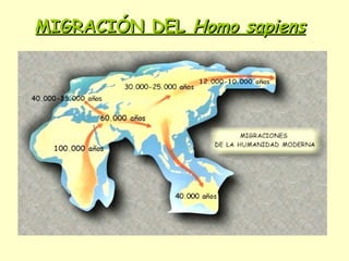 MIGRACIÓN DELMIGRACIÓN DEL Homo sapiensHomo sapiens
 