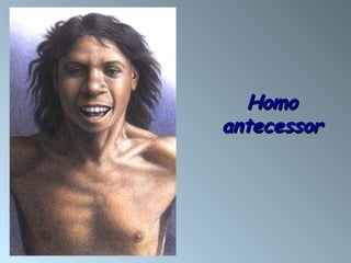 HomoHomo
antecessorantecessor
 