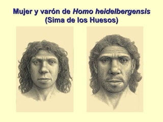 Mujer y varón deMujer y varón de Homo heidelbergensisHomo heidelbergensis
(Sima de los Huesos)(Sima de los Huesos)
 