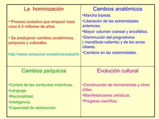 La  hominización Proceso evolutivo que empezó hace unos 6,5 millones de años. Se produjeron cambios anatómicos, psíquicos y culturales.  http://www.consumer.es/web/es/salud/investigacion_medica/2008/03/17/175478.php   Cambios anatómicos Marcha bípeda. Liberación de las extremidades anteriores. Mayor volumen craneal y encefálico. Disminución del prognatismo ( mandíbula saliente) y de los arcos ciliares.  Cambios en las extremidades.  Cambios psíquicos Control de las conductas instintivas. Lenguaje. Racionalidad. Inteligencia. Capacidad de abstracción . Evolución cultural Construcción de herramientas y otros útiles. Manifestaciones artísticas. Progreso científico.  