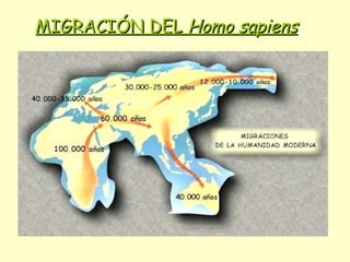 MIGRACIÓN DEL  Homo sapiens 