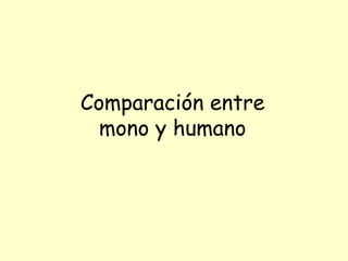 Comparación entre mono y humano 